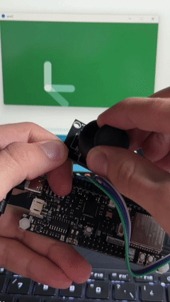 Demo GIF
